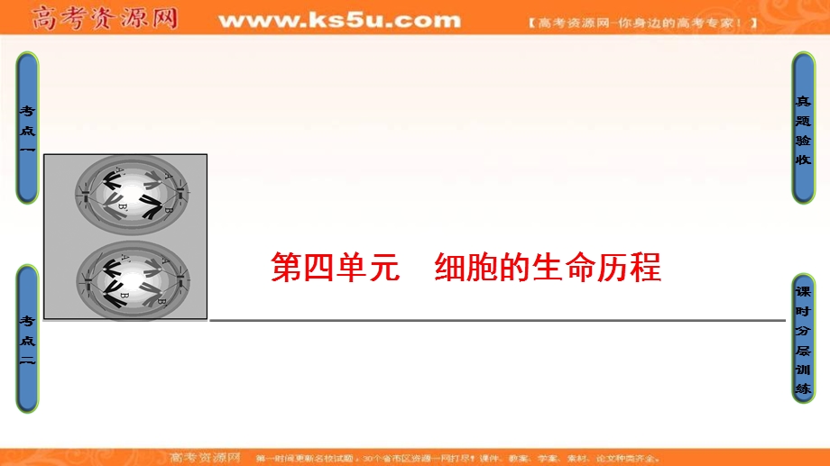 2018届《新坐标》高三生物（人教版）一轮总复习课件：必修1第4单元 第1讲 细胞的增殖 .ppt_第1页