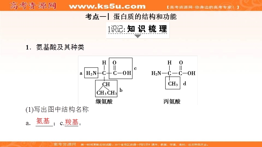 2018届《新坐标》高三生物（人教版）一轮总复习课件：必修1第1单元 第3讲 生命活动的承担者-蛋白质 .ppt_第2页