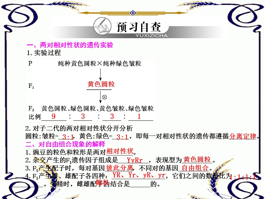 2013学年高一新人教版生物必修2学案课件1.3 孟德尔的豌豆杂交实验（二）.ppt_第2页