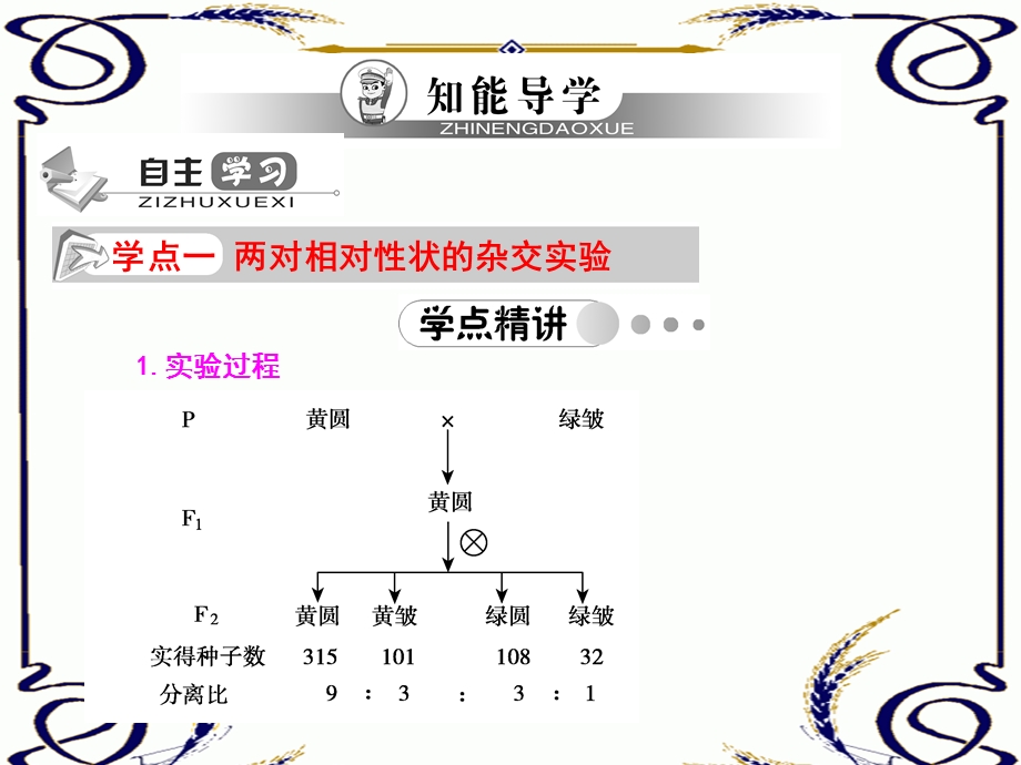 2013学年高一新人教版生物必修2学案课件1.3 孟德尔的豌豆杂交实验（二）.ppt_第3页