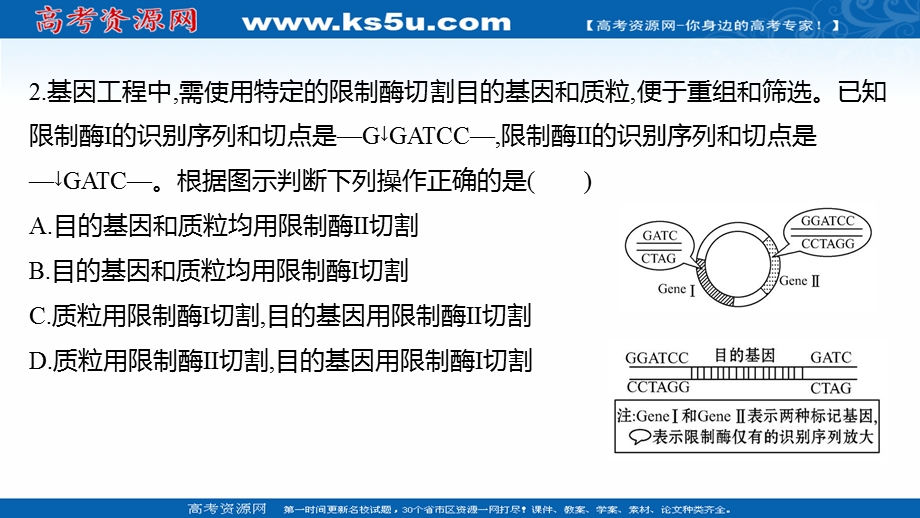 2021-2022学年人教版生物选修3习题课件：单元练习 专题1 基因工程 .ppt_第3页