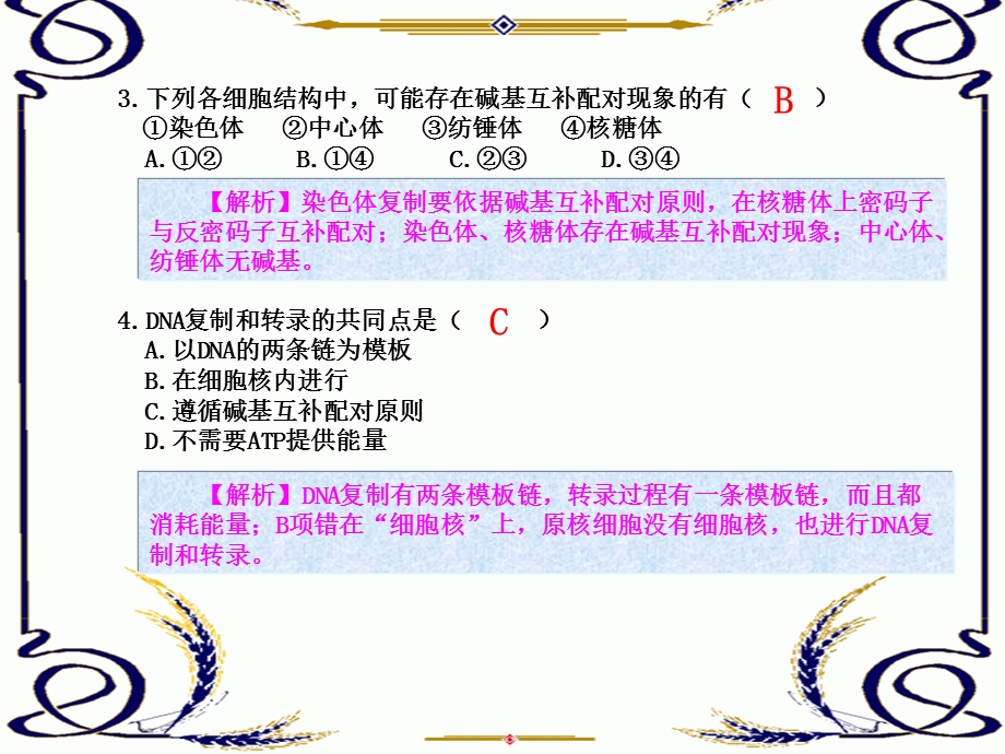 2013学年高一新人教版生物必修2练案课件 练案15 基因指导蛋白质的合成（二）.ppt_第2页