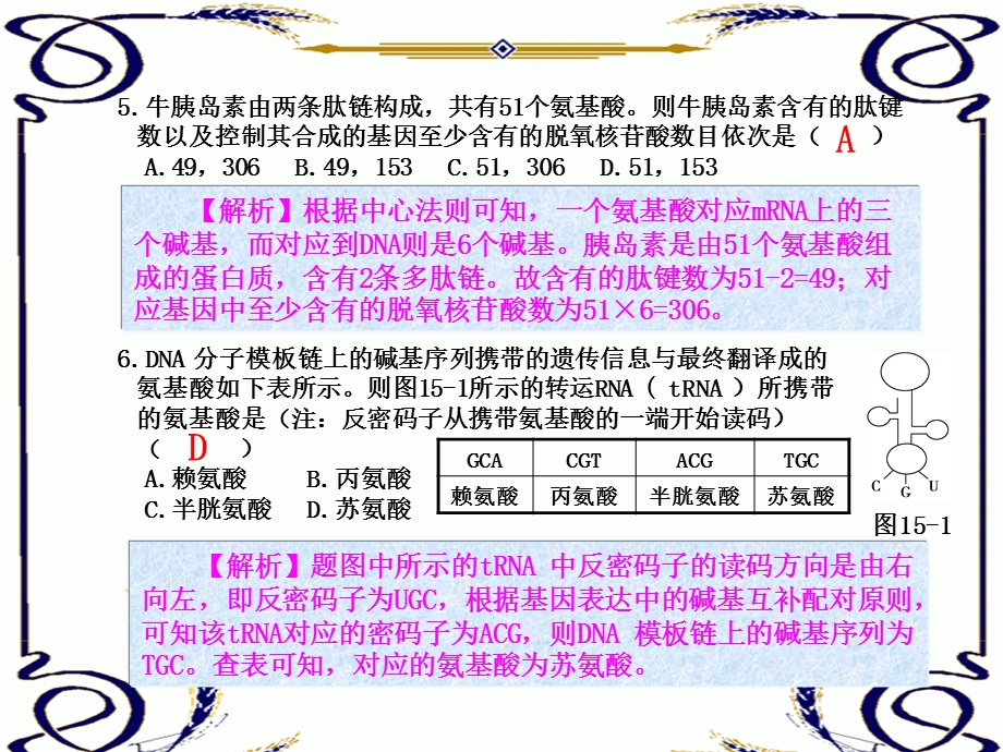 2013学年高一新人教版生物必修2练案课件 练案15 基因指导蛋白质的合成（二）.ppt_第3页