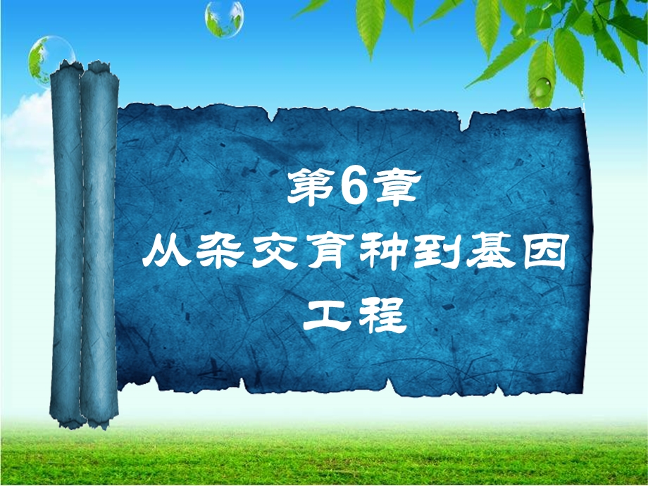 2013学年高一新人教版生物必修2学案课件6.1 杂交育种与诱变育种.ppt_第1页