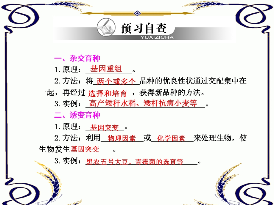 2013学年高一新人教版生物必修2学案课件6.1 杂交育种与诱变育种.ppt_第3页