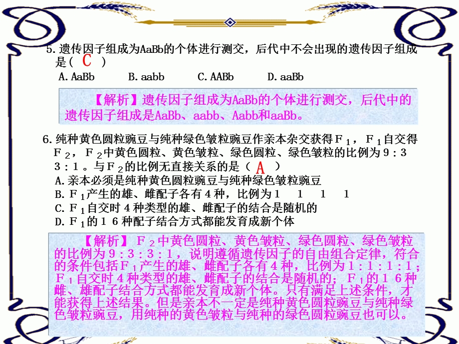 2013学年高一新人教版生物必修2练案课件 练案3 孟德尔的豌豆杂交实验（二）.ppt_第3页