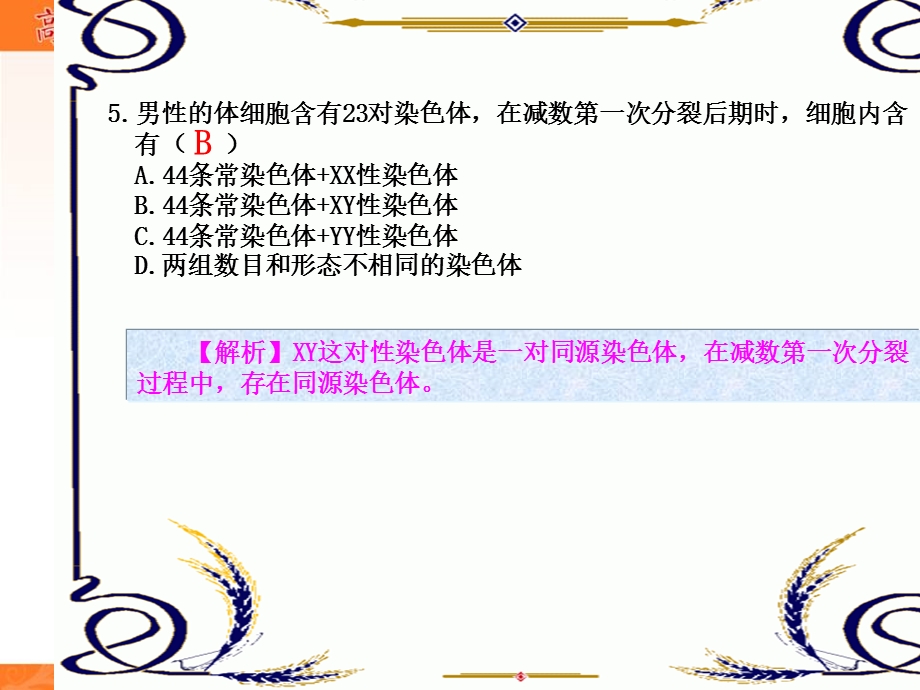 2013学年高一新人教版生物必修2练案课件 练案8 基因在染色体上.ppt_第3页