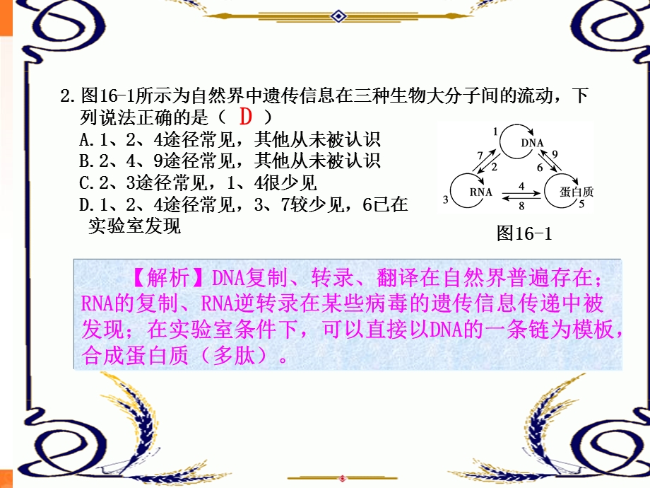 2013学年高一新人教版生物必修2练案课件 练案16 基因对性状的控制.ppt_第2页