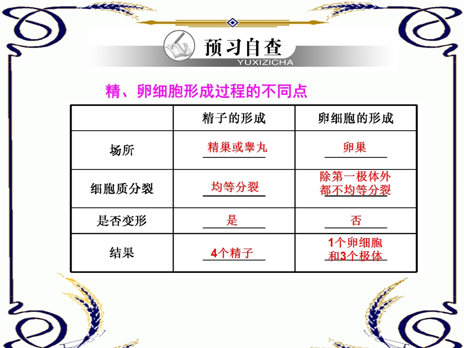 2013学年高一新人教版生物必修2学案课件2.2 减数分裂（二）.ppt_第2页