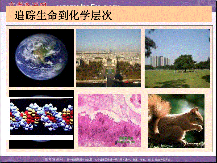 2014年浙科版高中生物必修一同步系列：《分子和离子》课件5.ppt_第2页