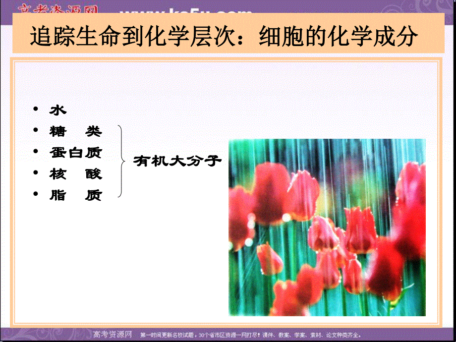 2014年浙科版高中生物必修一同步系列：《分子和离子》课件5.ppt_第3页