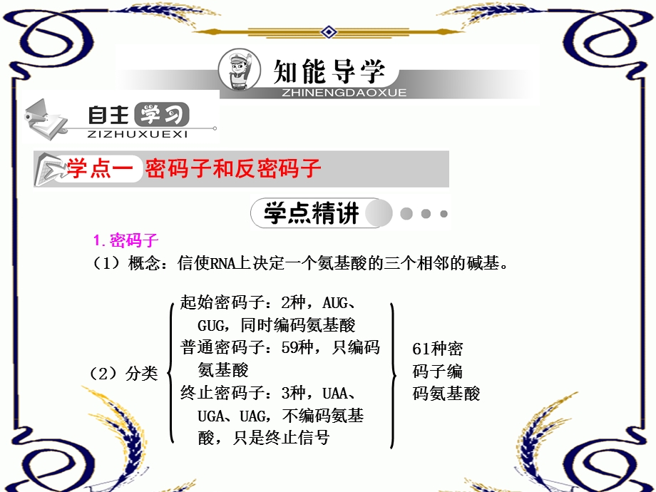 2013学年高一新人教版生物必修2学案课件4.2 基因指导蛋白质的合成（二）.ppt_第3页