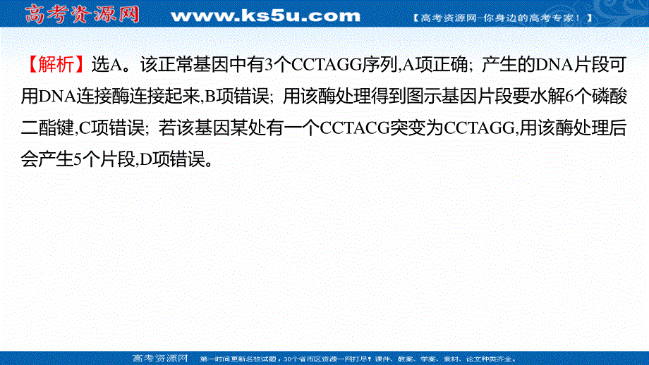 2021-2022学年人教版生物选修3习题课件：课时练习 1-1 DNA重组技术的基本工具 .ppt_第3页