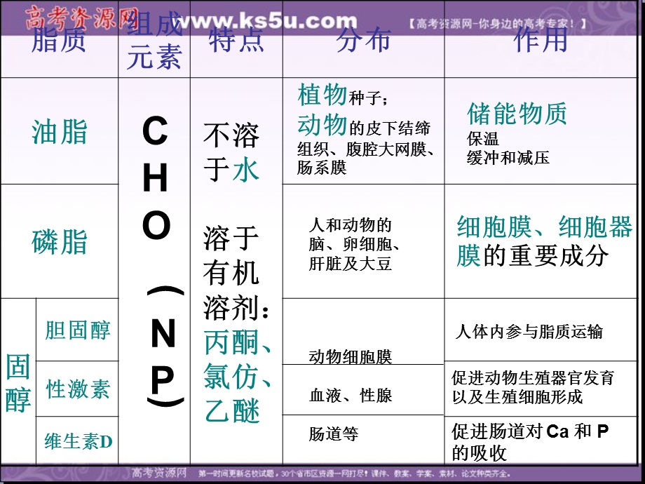 2014年浙科版高中生物必修一同步系列：《有机化合物与生物大分子》课件14.ppt_第2页