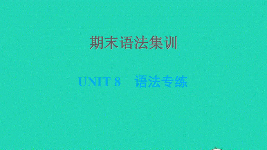 2021七年级英语上册 期末语法集训 Unit 8 Countries around the world习题课件 （新版）冀教版.ppt_第1页