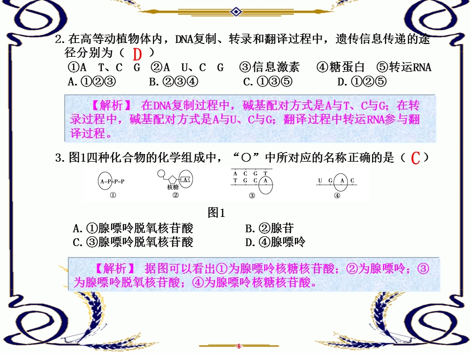 2013学年高一新人教版生物必修2考案课件 考案6 学习质量综合检测题（二）.ppt_第2页