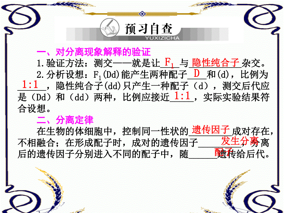 2013学年高一新人教版生物必修2学案课件1.2 孟德尔的豌豆杂交实验（一）.ppt_第2页