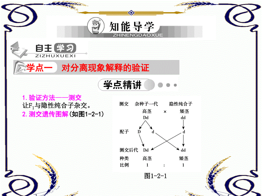 2013学年高一新人教版生物必修2学案课件1.2 孟德尔的豌豆杂交实验（一）.ppt_第3页