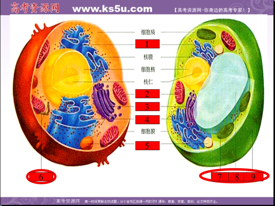 2014年浙科版高中生物必修一同步系列：《细胞核》课件3.ppt_第1页