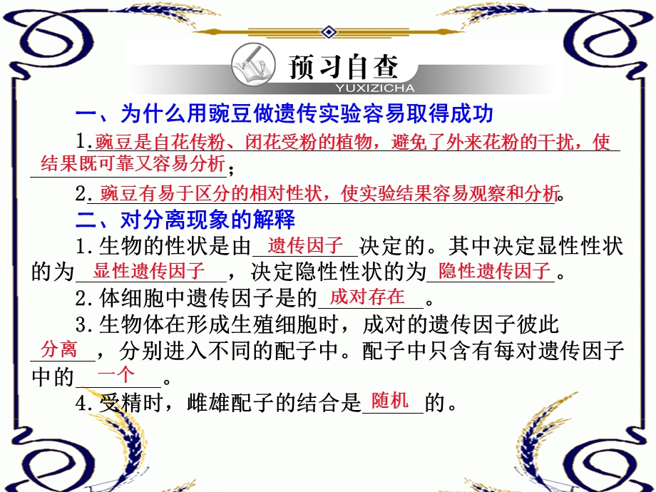 2013学年高一新人教版生物必修2学案课件1.1 孟德尔的豌豆杂交实验（一）.ppt_第3页