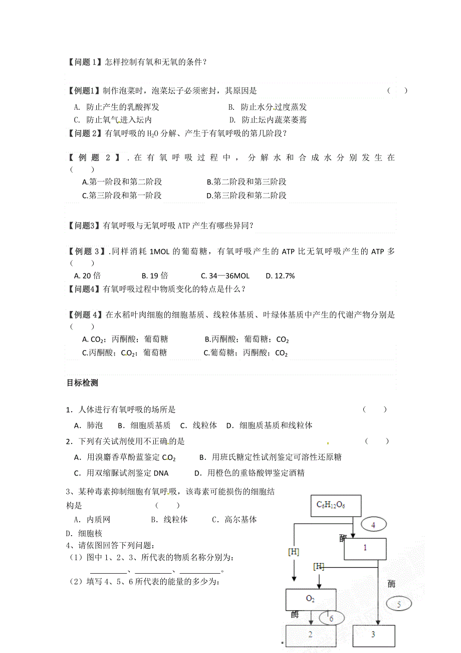 云南省德宏州梁河县一中高中生物必修一：第五章第3节ATP的主要来源——细胞呼吸.doc_第2页