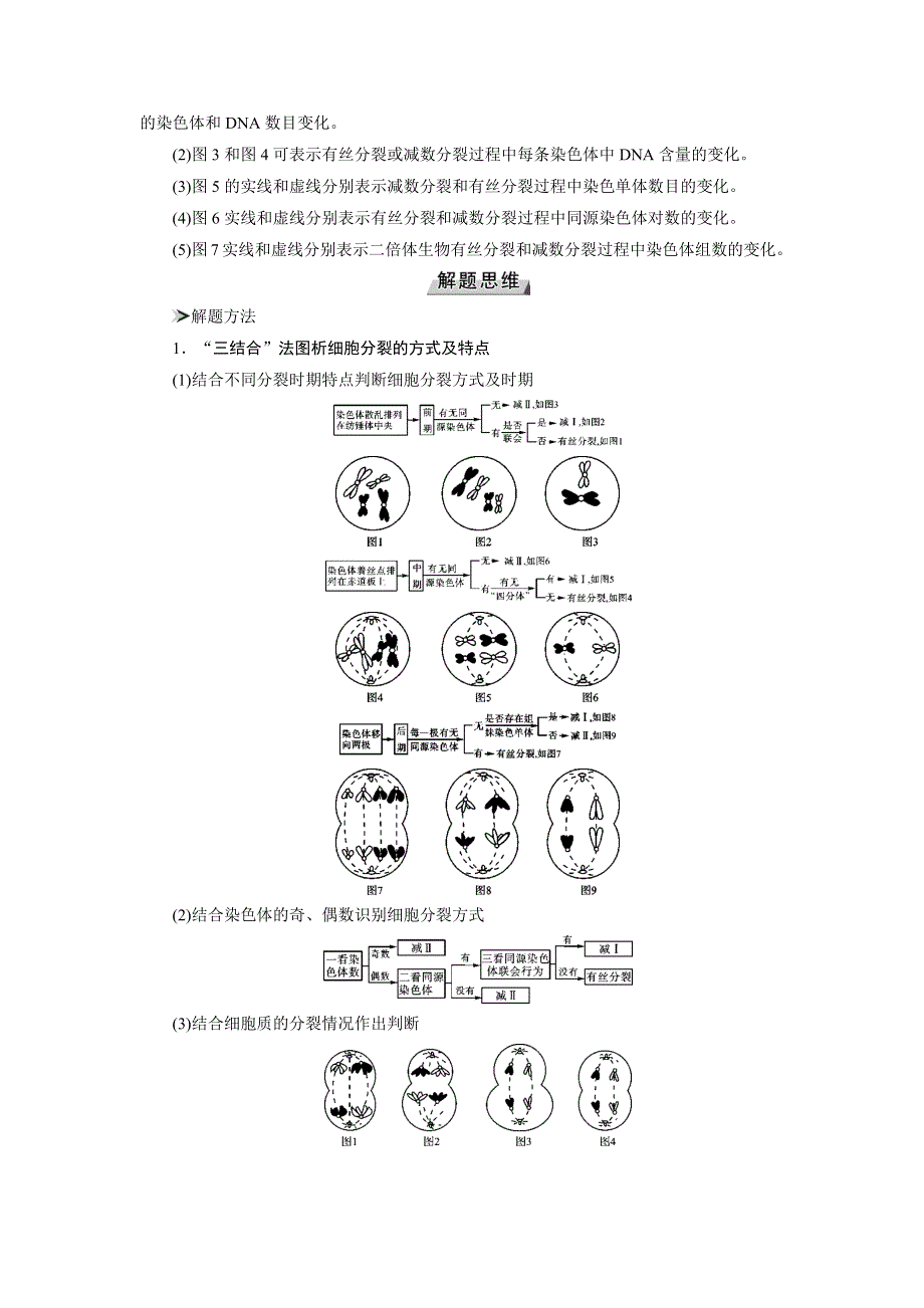 2019版高考生物大一轮优选讲义：第17讲细胞有丝分裂与减数分裂规律的解题策略 WORD版含答案.docx_第2页