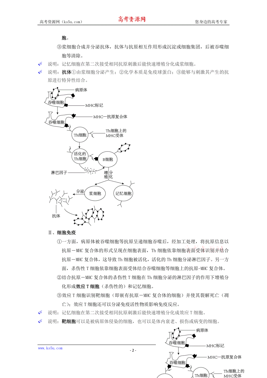 《个人珍藏版》高中人教版生物学生笔记：必修3 2.4 免疫调节.doc_第2页