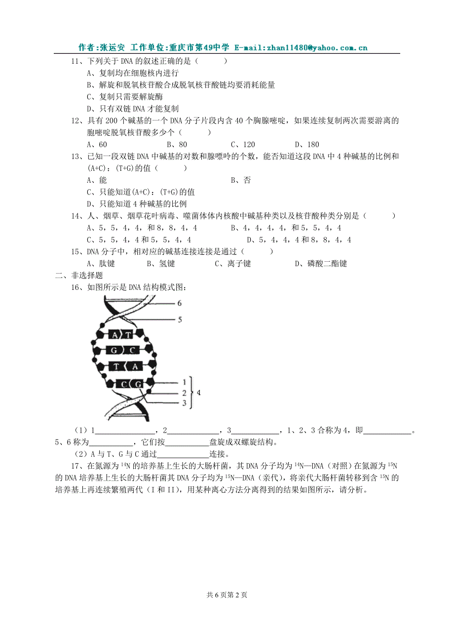 《二 DNA分子的结构DNA复制》同步练习（2）.doc_第2页