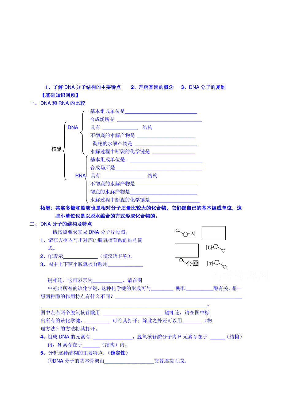 福建省长泰县第二中学2014高考生物一轮复习学练：必修二 19DNA分子的结构、复制.doc_第1页