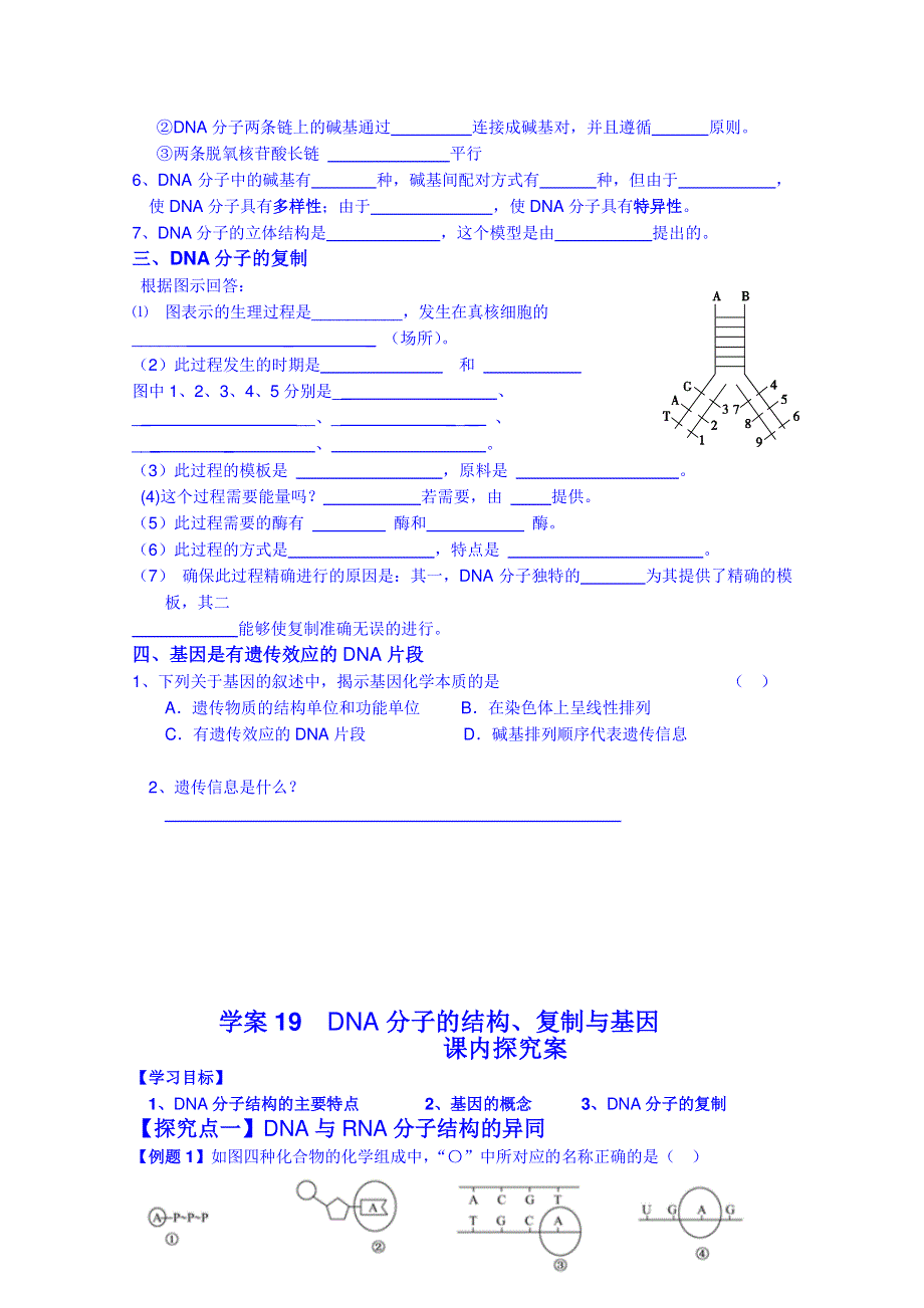 福建省长泰县第二中学2014高考生物一轮复习学练：必修二 19DNA分子的结构、复制.doc_第2页