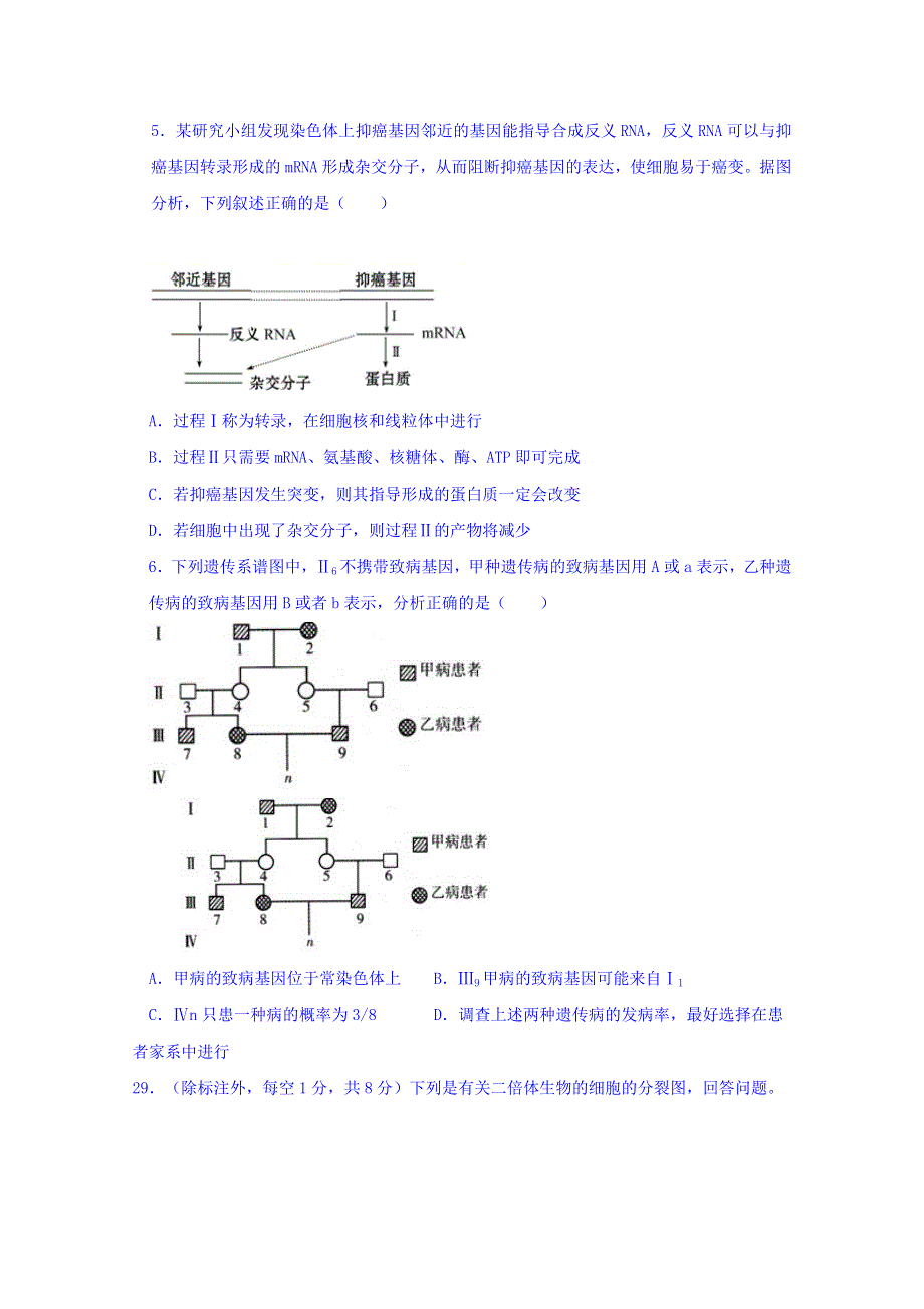 四川外国语大学附属外国语学校2019届高三10月月考理综生物试题 WORD版含答案.doc_第2页