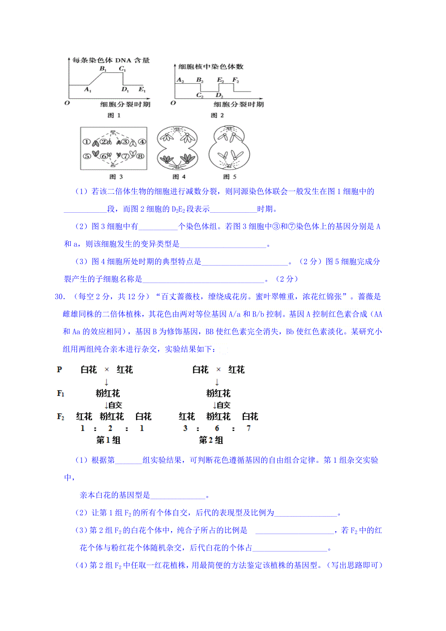 四川外国语大学附属外国语学校2019届高三10月月考理综生物试题 WORD版含答案.doc_第3页