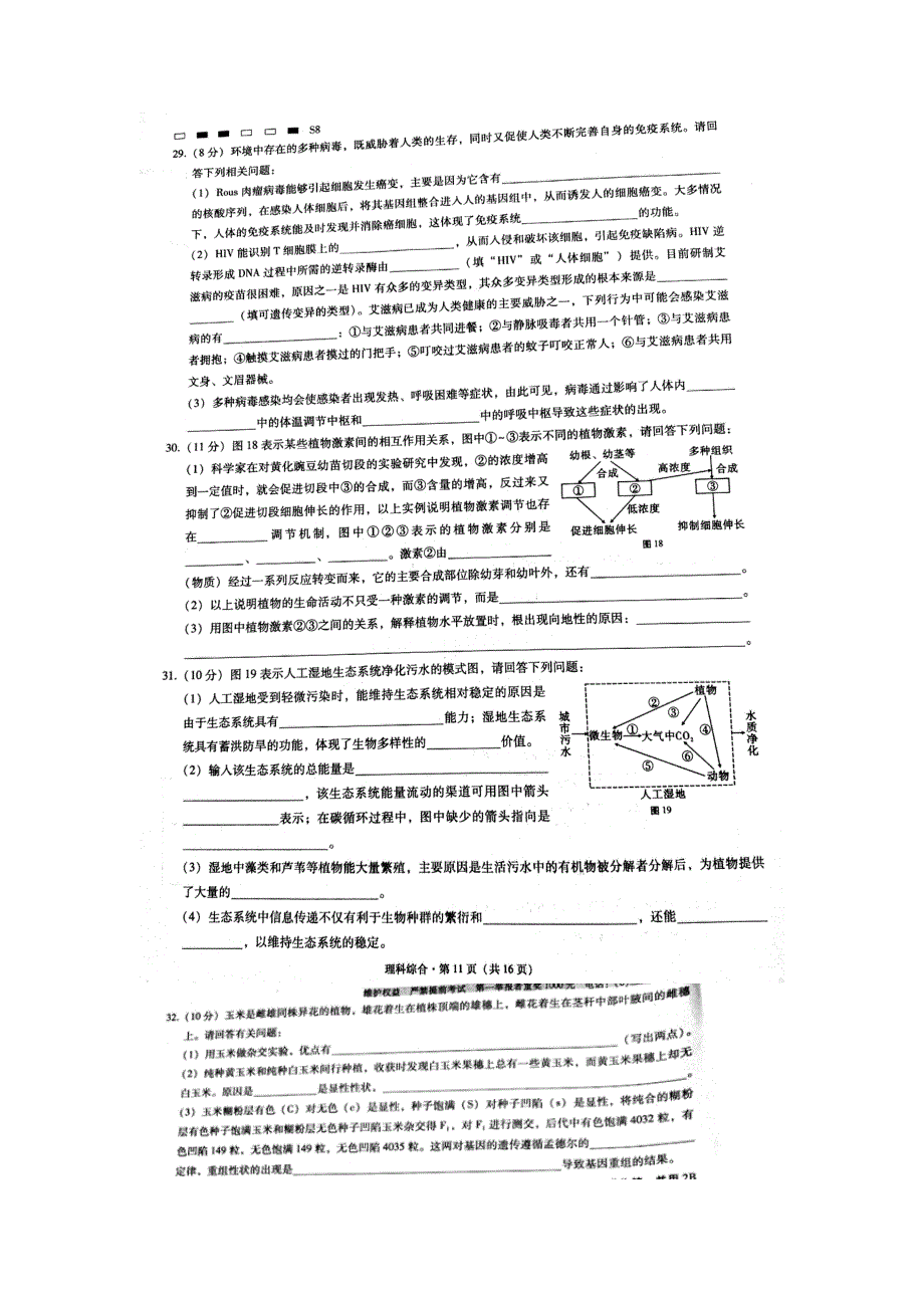 云南省师范大学附属中学2017届高考适应性月考（八）理综生物试题 扫描版含答案.doc_第3页