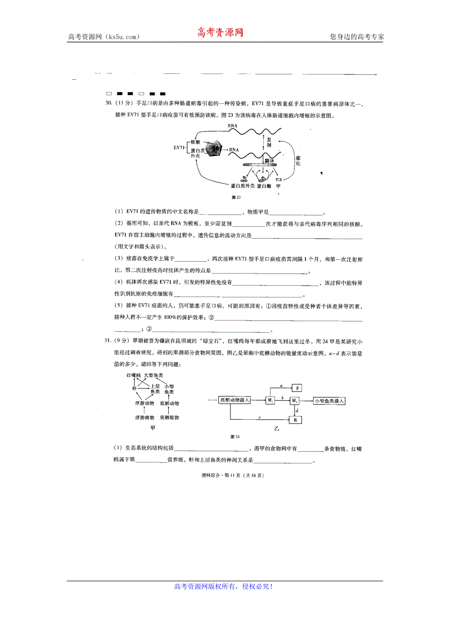 云南省师范大学附属中学2017届高三高考适应性月考（六）理综-生物试题 扫描版含答案.doc_第3页