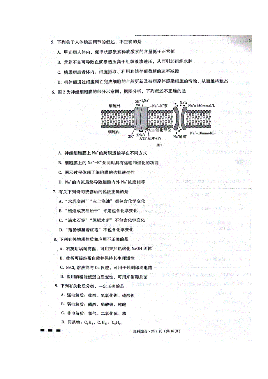 云南省师范大学附属中学2019届高三上学期第二次月考理科综合试题 扫描版含答案.doc_第2页