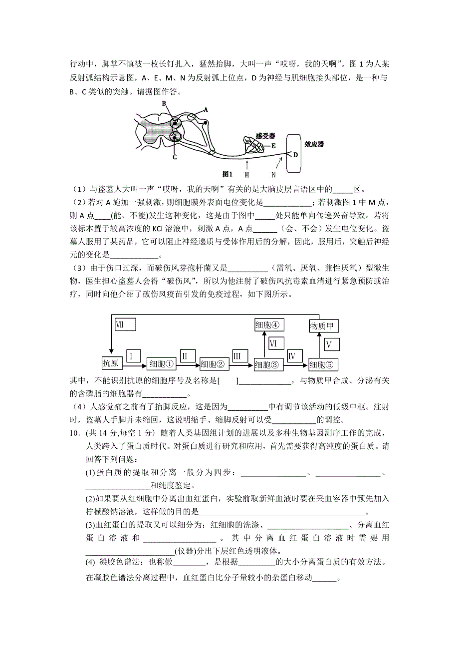 四川师大附中2014届高三上学期期中考试生物试题 WORD版含答案.doc_第3页