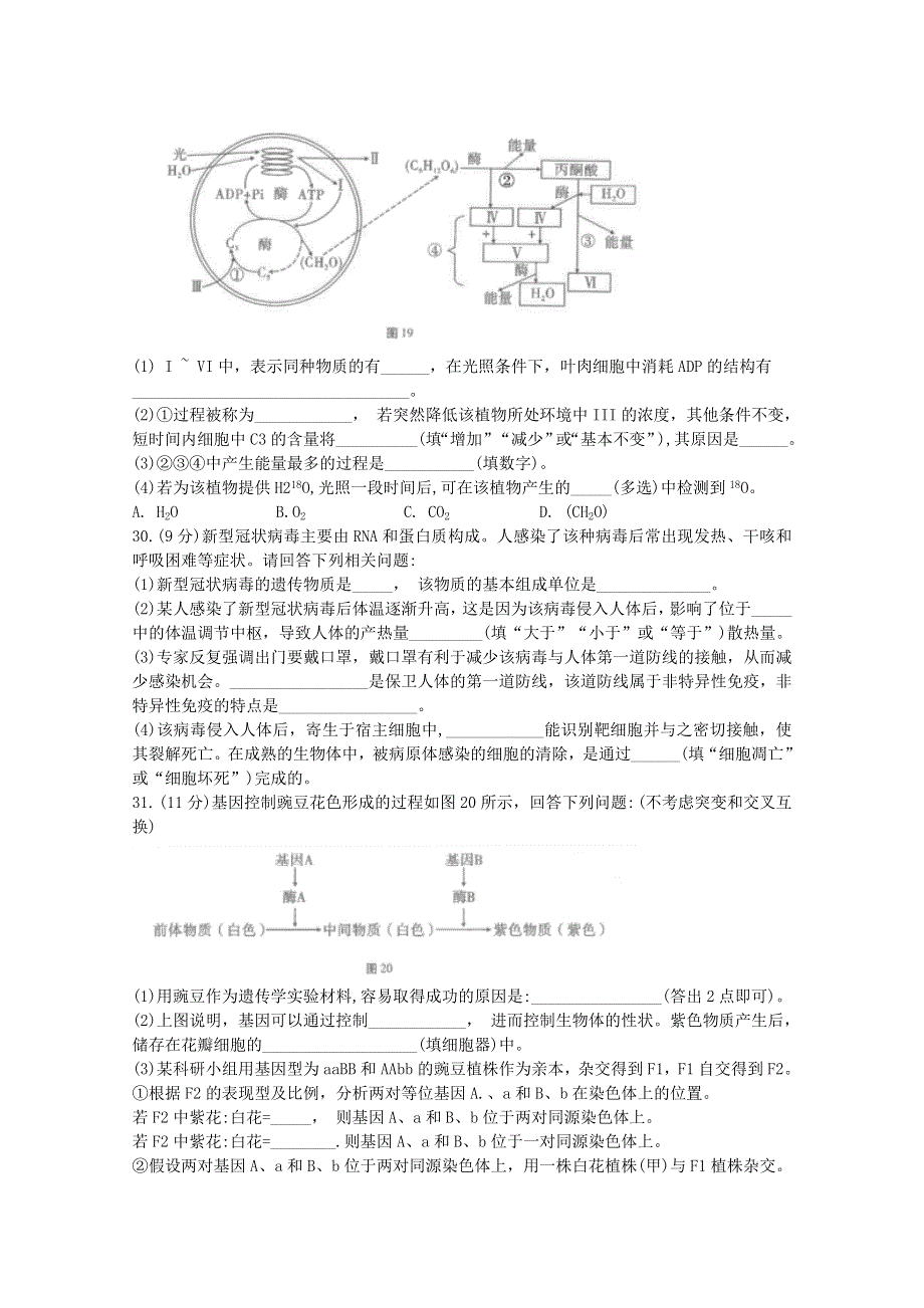 云南省师范大学附属中学2021届高考生物适应性月考卷（一）.doc_第2页