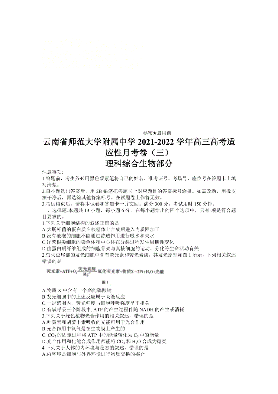 云南省师范大学附属中学2022届高三上学期高考适应性月考卷（三）理科综合生物试题 WORD版含答案.doc_第1页