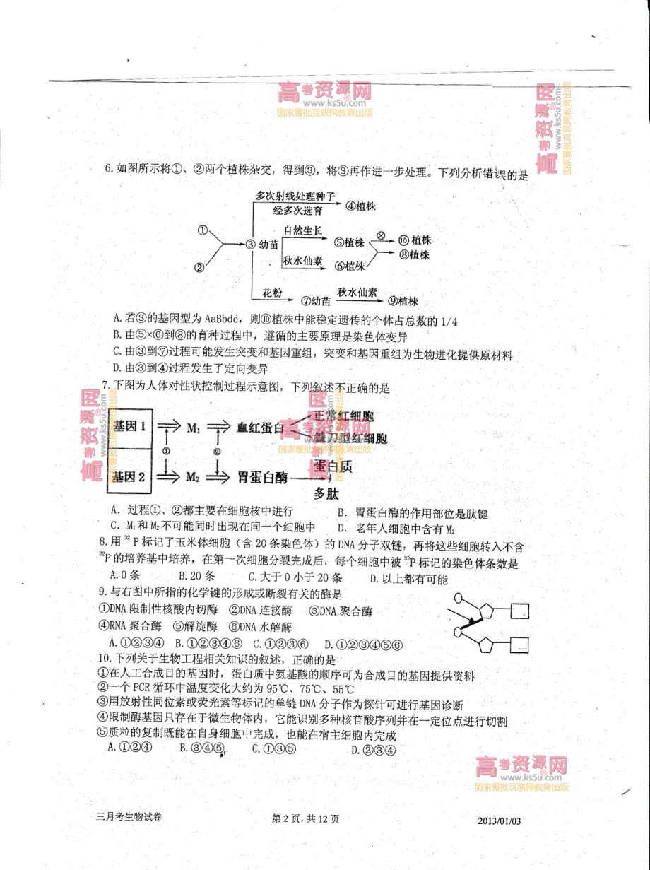 《首发》天津市耀华中学2013届高三第三次月考 生物PDF版含答案.pdf_第2页