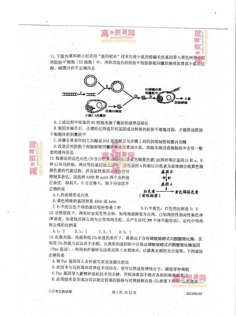 《首发》天津市耀华中学2013届高三第三次月考 生物PDF版含答案.pdf_第3页