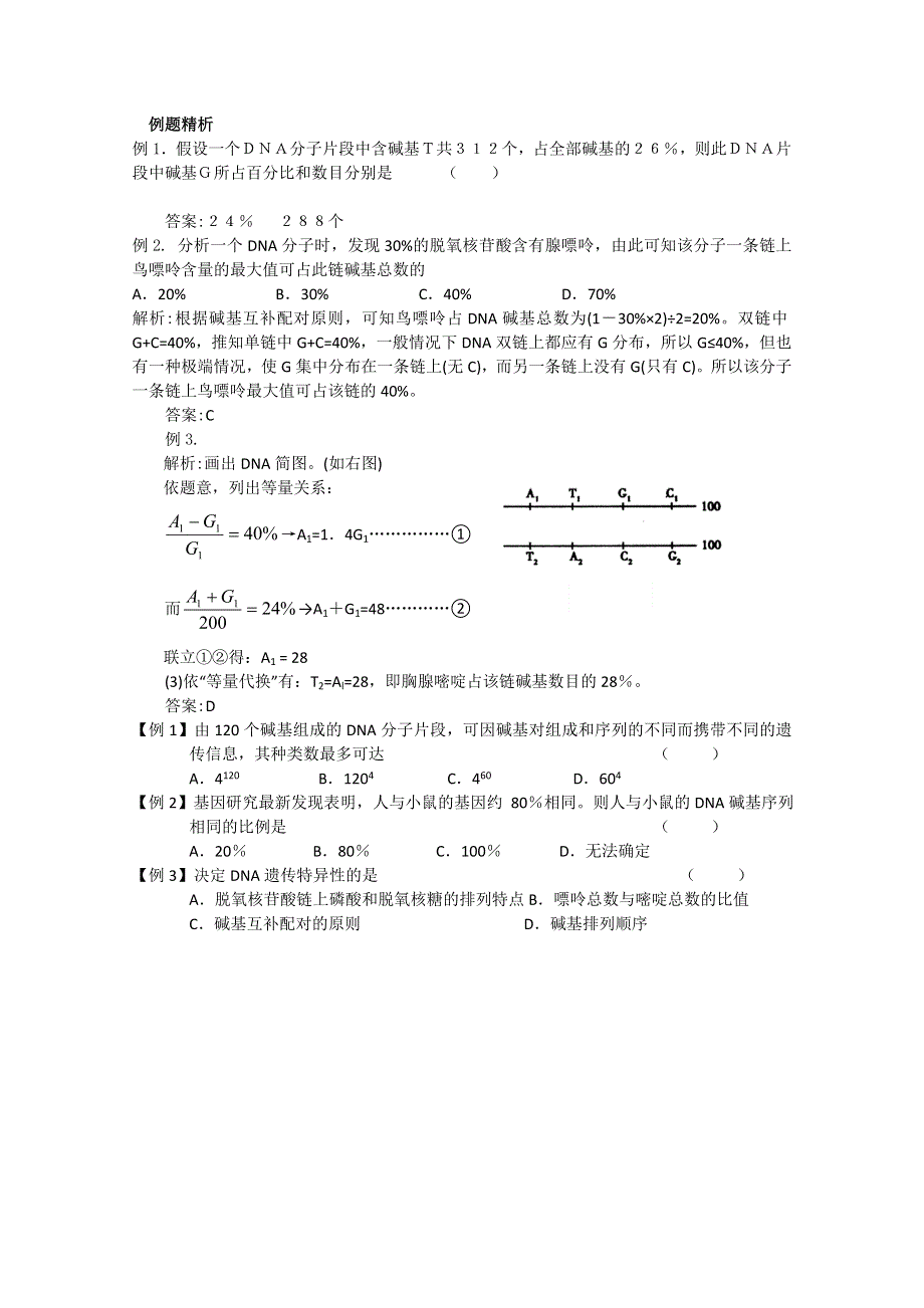 2010届高二生物学案DNA的分子结构和复制（新人教）.doc_第2页