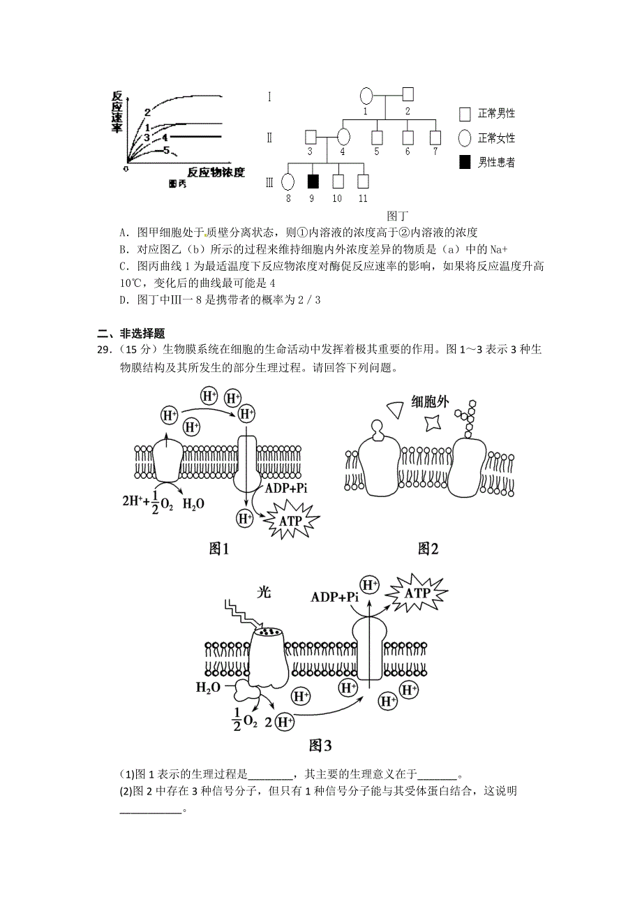 四川省乐至中学2016届高三上学期9月月考生物试卷 WORD版含答案.doc_第2页