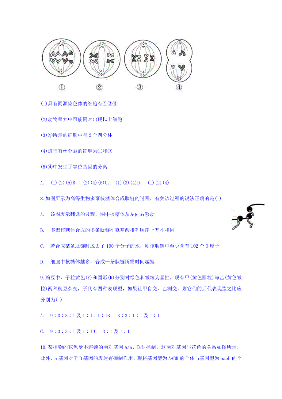 云南省文山州丘北一中2017-2018学年高一下学期6月月考生物试题 WORD版含答案.doc_第3页