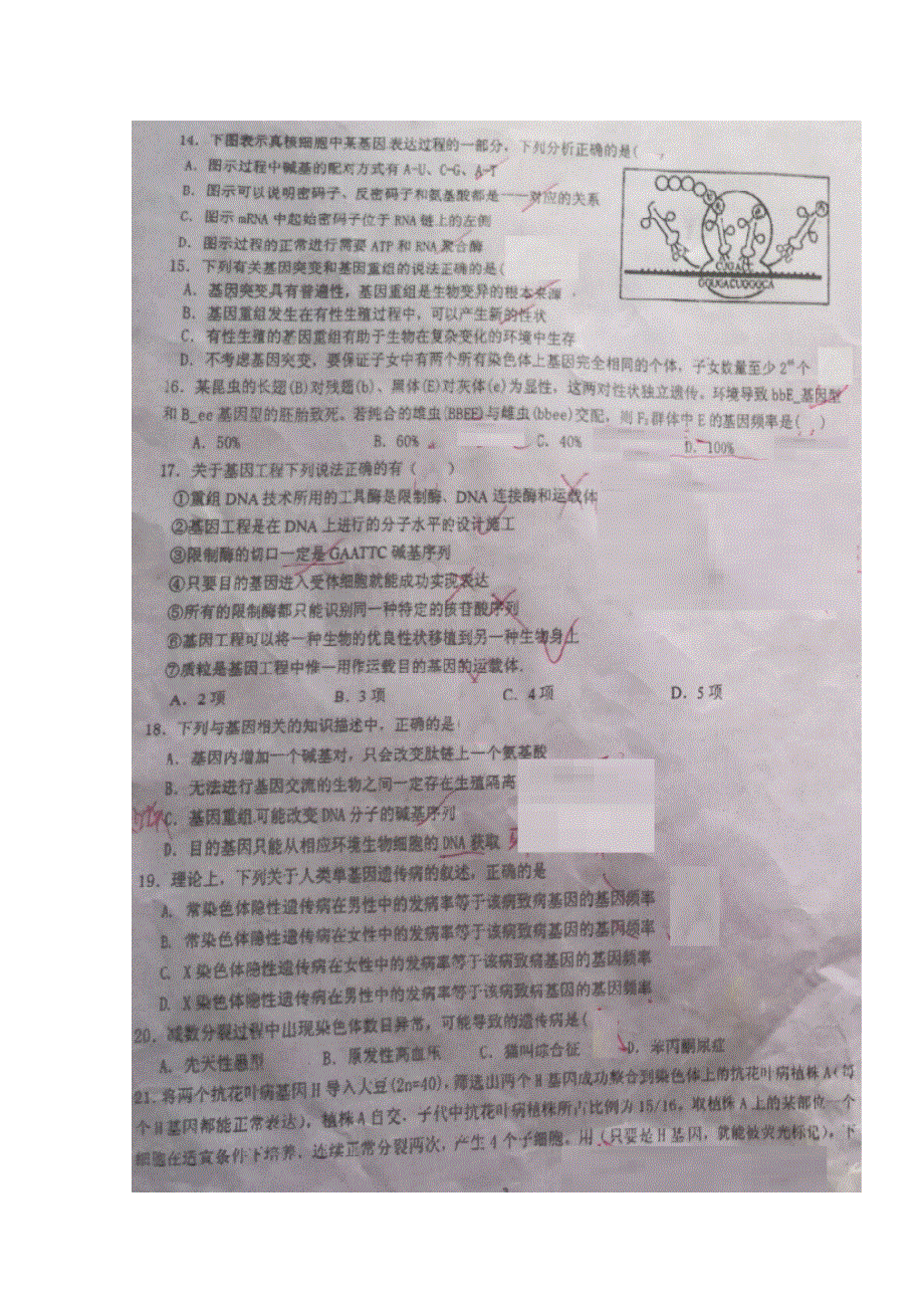 四川省什邡中学2016-2017学年高二上学期春、秋招班第一次月考生物试题 扫描版含答案.doc_第3页