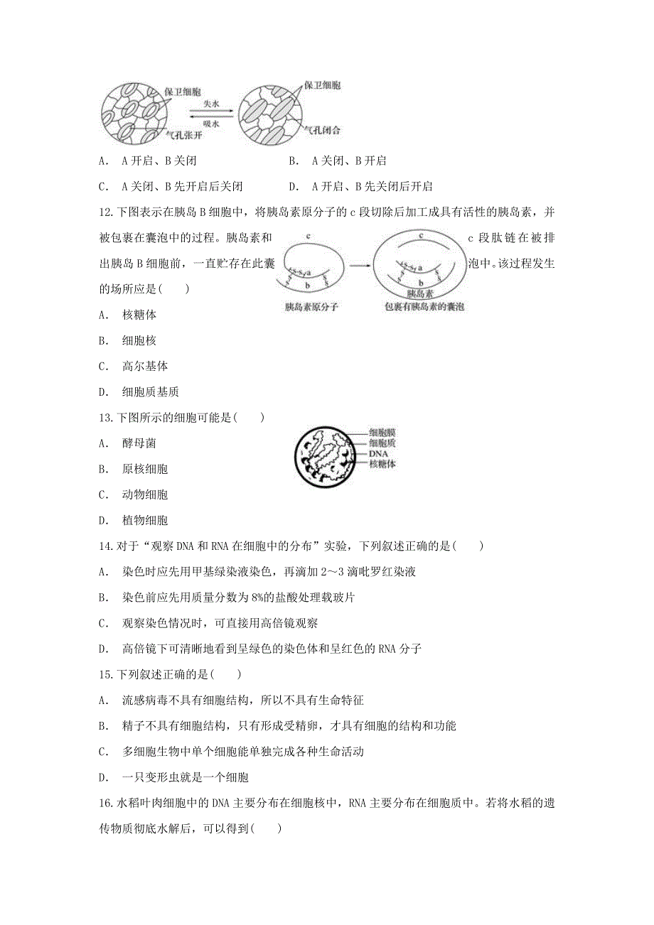 云南省文山州富宁县三中2019-2020学年高一生物上学期期中试题.doc_第3页