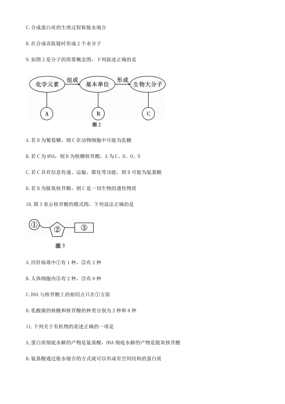 云南省文山州砚山县2020-2021学年高一生物上学期期末学业水平测试试题.doc_第3页