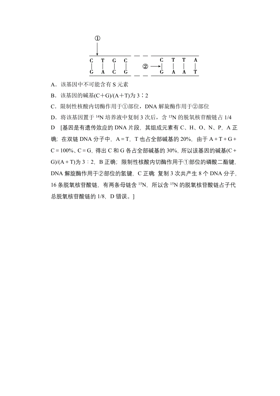 《创新大课堂》2015高考生物（人教版）一轮随堂考情体验：2-6-17 DNA分子的结构、复制与基因的本质.doc_第2页