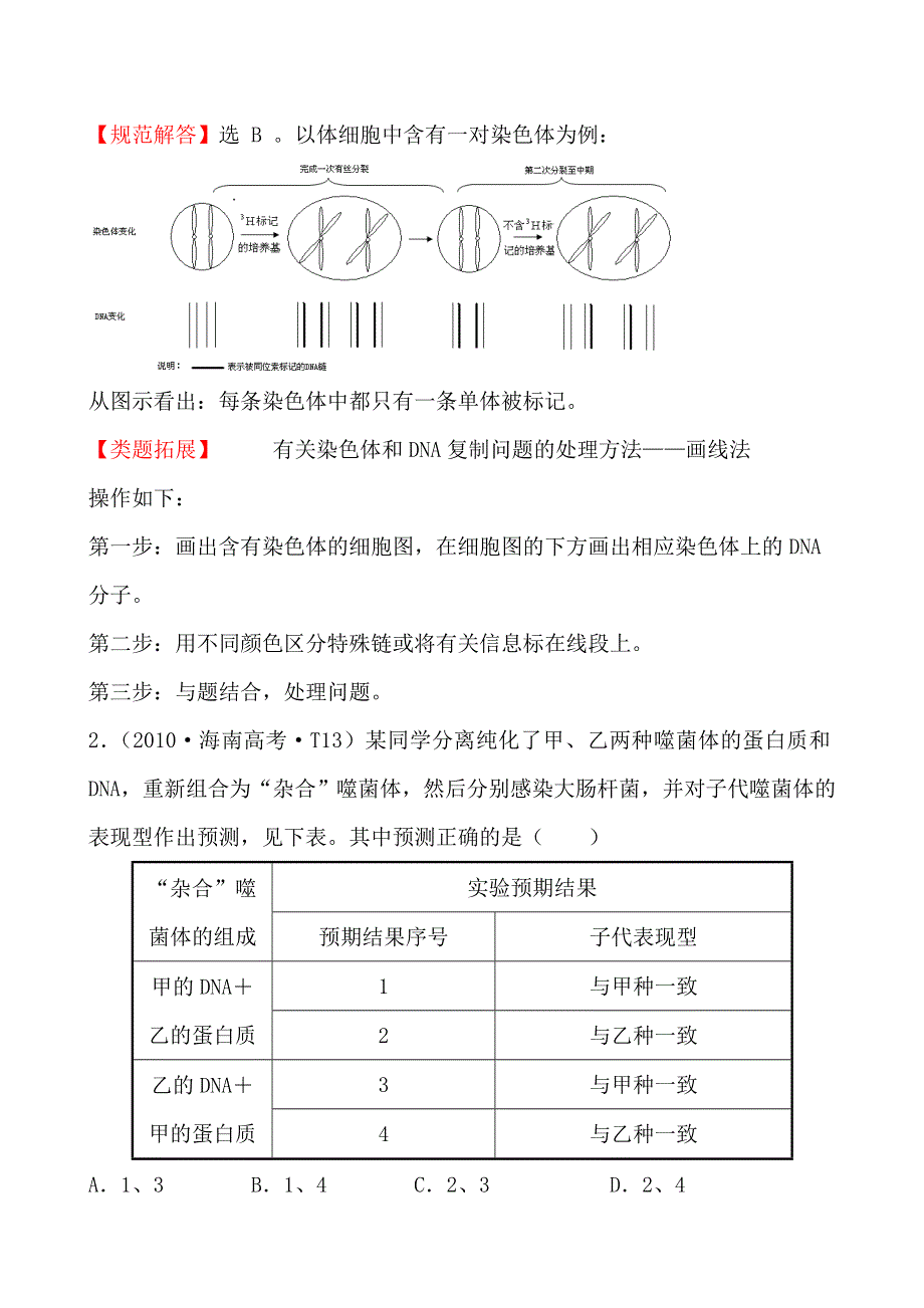 2010年高考生物试题（新课标版）分类汇编6 遗传物质——DNA WORD版含解析.doc_第2页