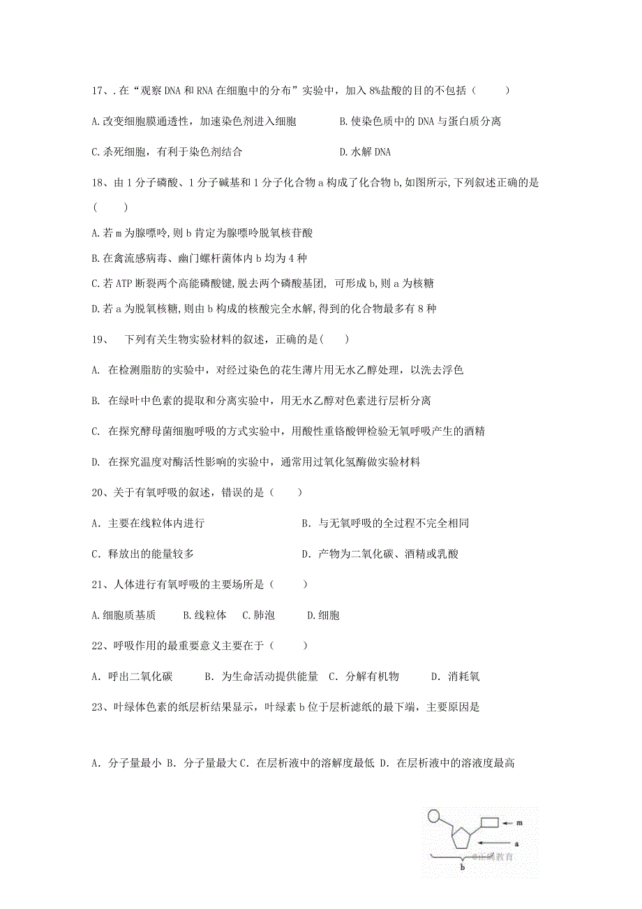 四川省仁寿县文宫中学2019-2020学年高一5月月考生物试题 WORD版含答案.doc_第3页