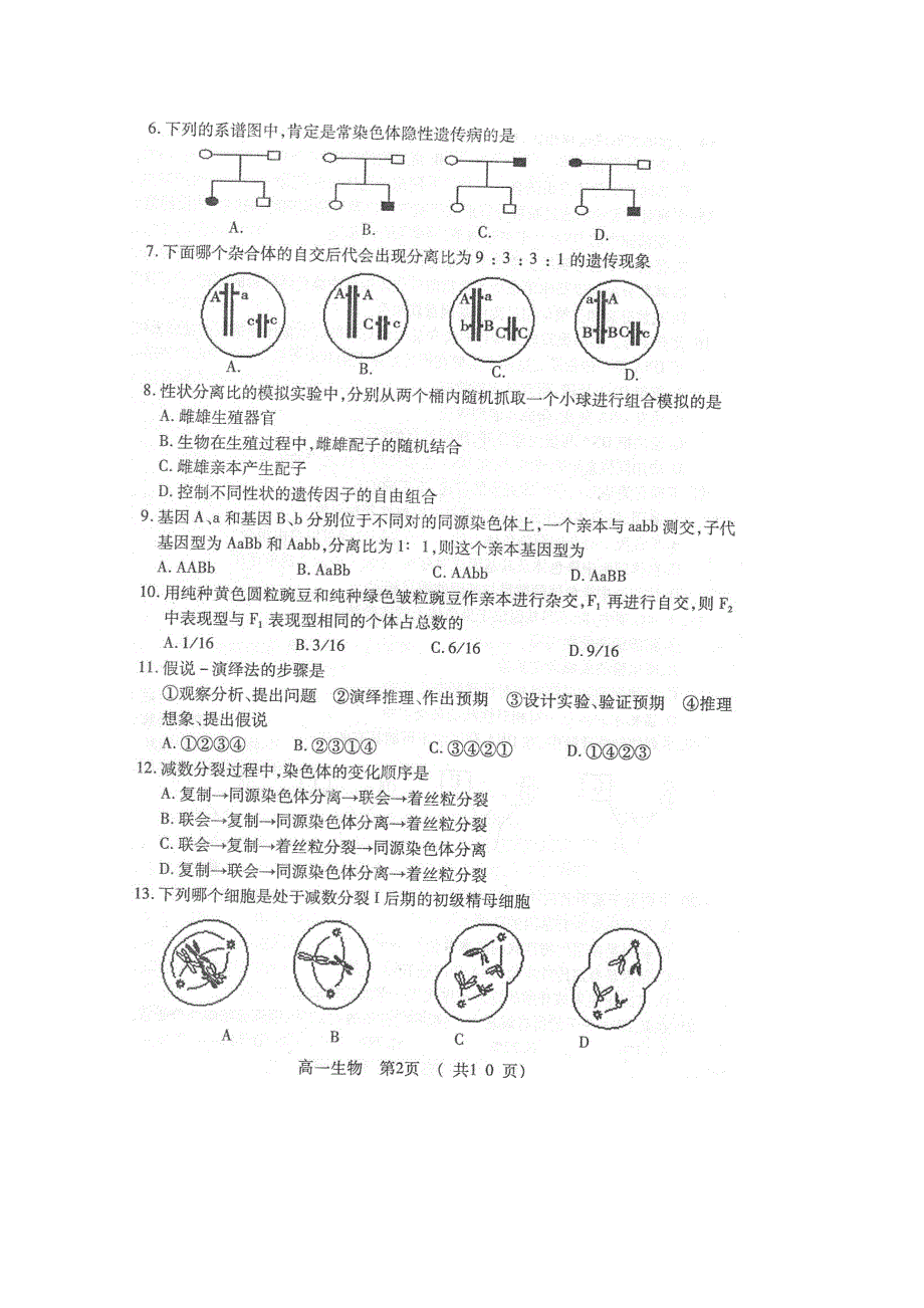 2010河大附中高一下学期期末考试（生物）扫描版.doc_第2页